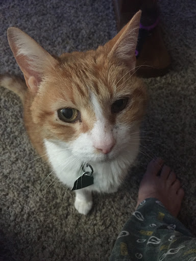 Animal Health Center: Hendrix Jake DVM - Thumbnail