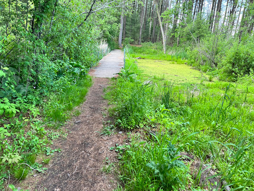 Rowan Creek Trail - Thumbnail