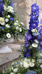 Photo n°23 de Empreinte Végétale à Clairoix (Service de plantes d'intérieur)