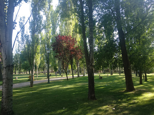 Remuel Park - Visual