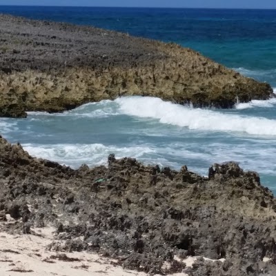 Photos of Lynyard Cay