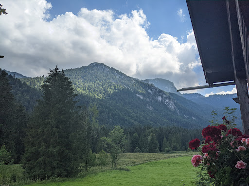 Wirtsalm - Visual