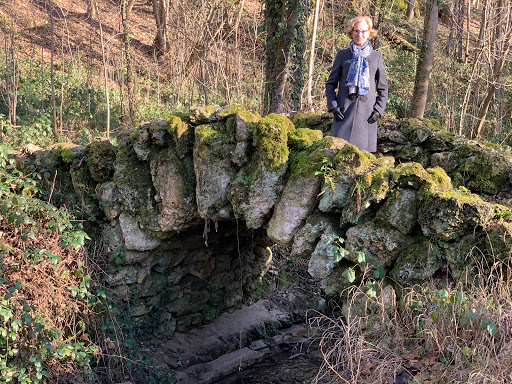 La Roselière de Mérancy