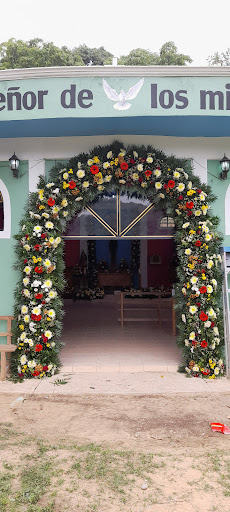 Mercado Mpal. Felipe Angeles