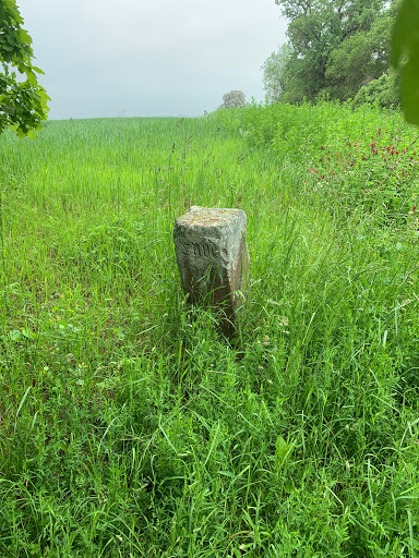 Grenzstein - Württemberg / Baden