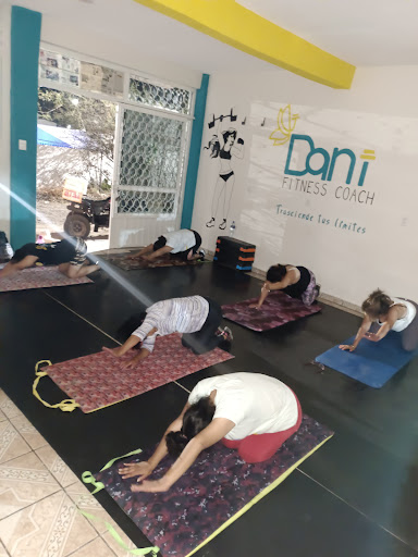 Dani Fitness Coach - Thumbnail
