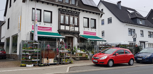 Blumenkörbchen Elspe Theile-Rasche - Thumbnail