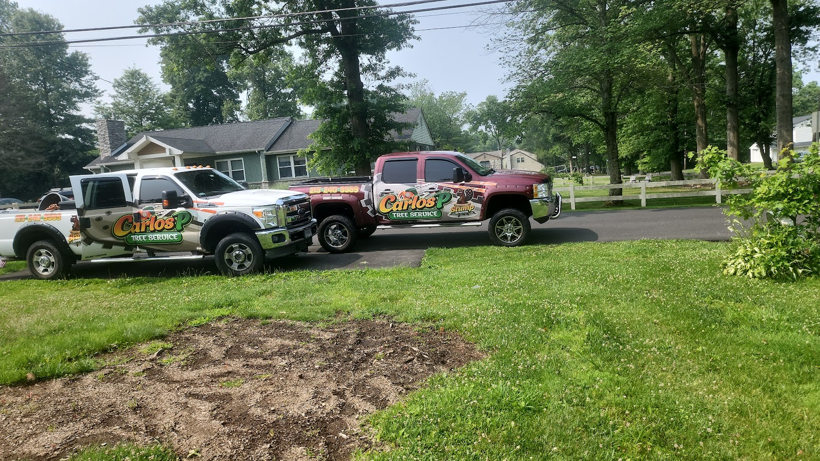 Carlos P Tree Service LLC