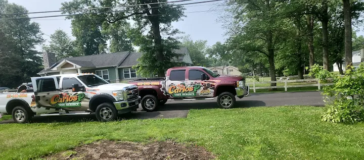 Carlos P Tree Service LLC