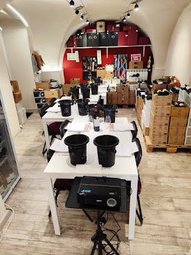 Les Vins Magnifiques by null