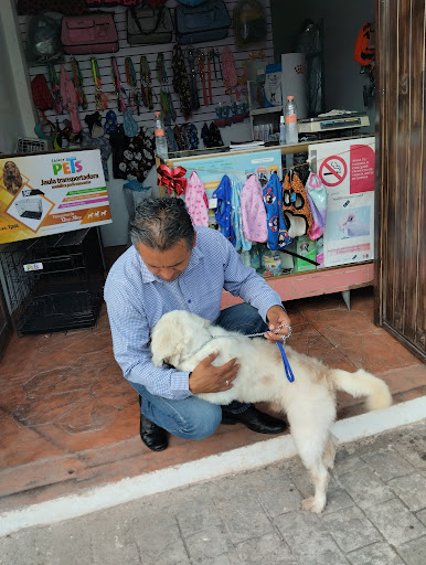 Veterinaria Caza-Vet