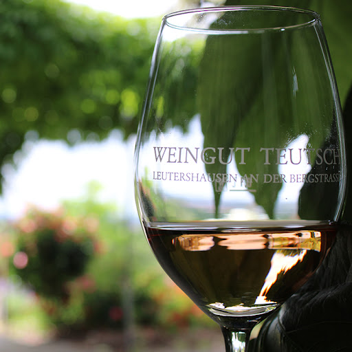 weinblick - Visual