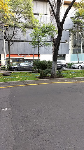 Spejo's Polanco