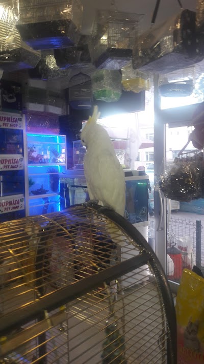 DUPNİSA PET SHOP