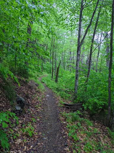Green Mountain National Forest - Rochester Ranger Station