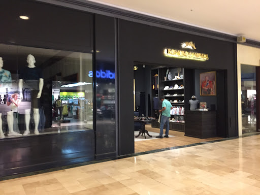 Romero & McPaul Monterrey