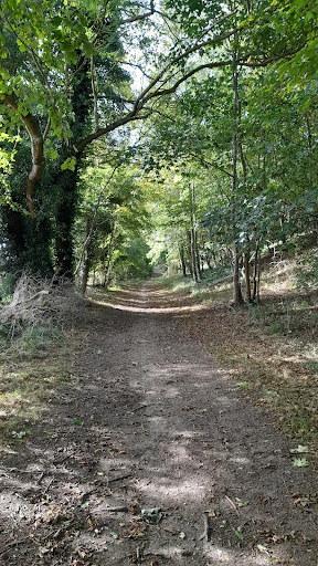 Icknield Way - Visual