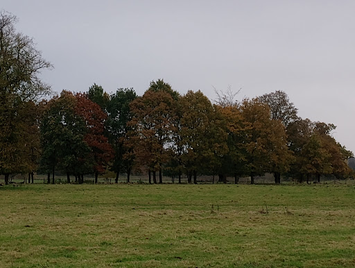 Shugborough Estate Car Park - Thumbnail