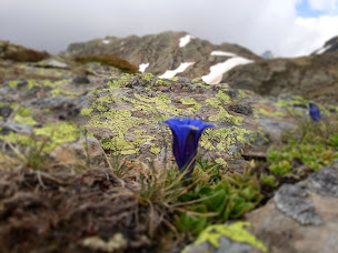 Photo n°3 de NATAKA à Nailloux (Club de sport)