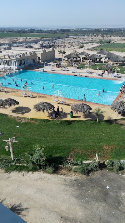 Photos of سوسنة الوادى