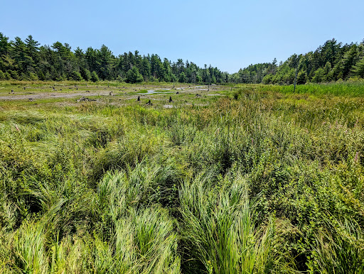 Greenbie Natural Area - Blue Hill Heritage Trust - Thumbnail