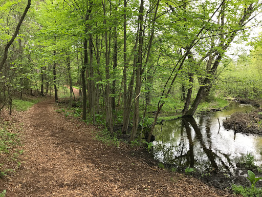 Little Plover River Park - Thumbnail