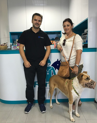 Clínica Veterinaria Roncal - Pilas