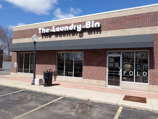 Laundry Bin - Visual