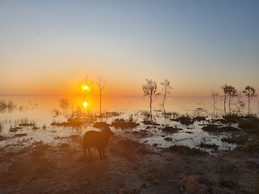 Menindee Lakes Caravan Park - Thumbnail
