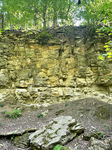 Ehem. Bunkerlager Herbstwald - Thumbnail