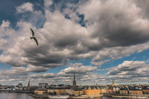 Tax Business Stockholm AB - Thumbnail