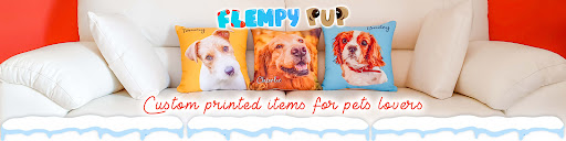 FlempyPUP - Visual