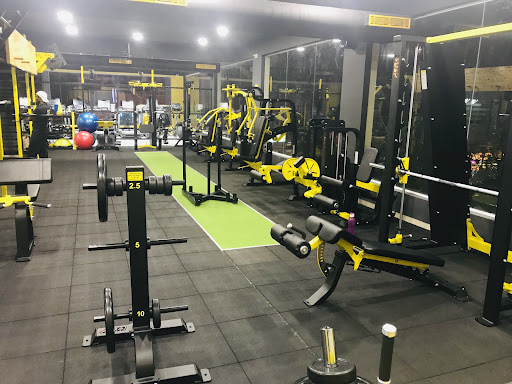 Gallery image 16