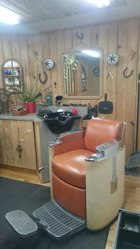 Barbier Rawdon - Visual
