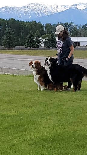 Valley Pet Clinic Gallery - United States