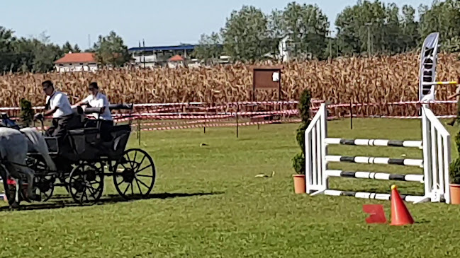 Értékelések erről a helyről: Nagykőrösi Lovas Sportegyesület, Nagykőrös - Szórakozóhely