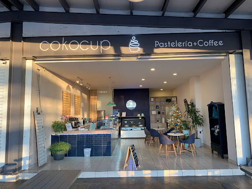 Cokocup - Visual