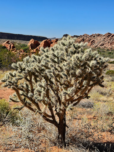 Sand Cove Trailhead - Thumbnail