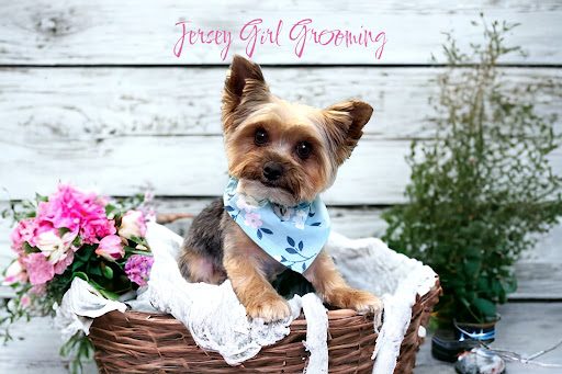 Jersey Girl Grooming LLC - Thumbnail