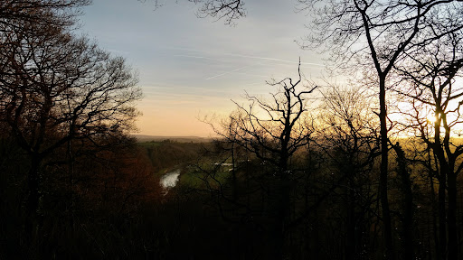 Capler Camp - Visual