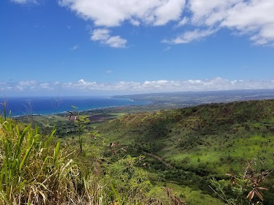 Mokulēʻia Forest Reserve