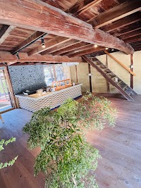 サニーサイドアップ