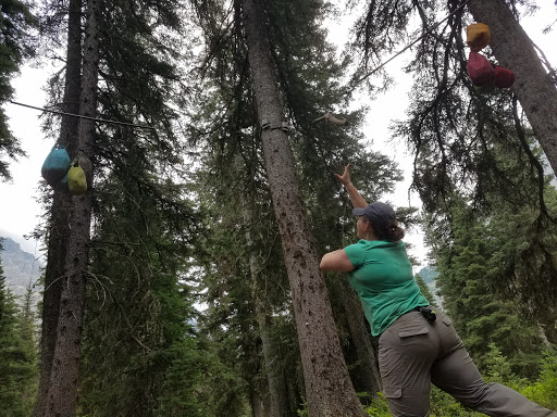 Mokowanis Junction Campground - Thumbnail