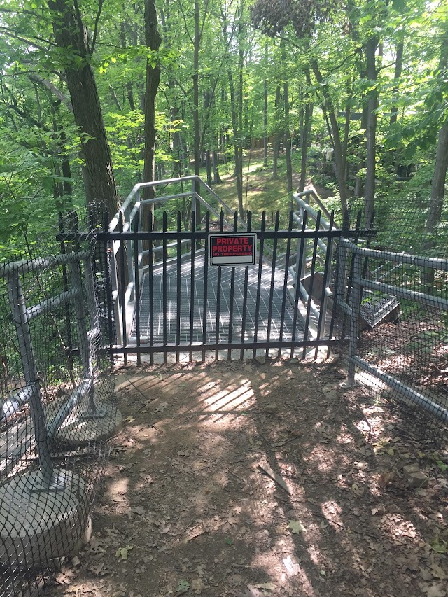 Webster's Trail Parking