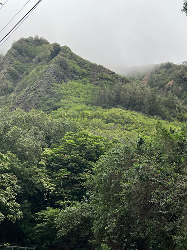 Iao Valley parking lot - Thumbnail