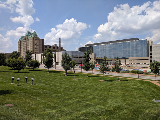 Saint Louis University School of Medicine Logo