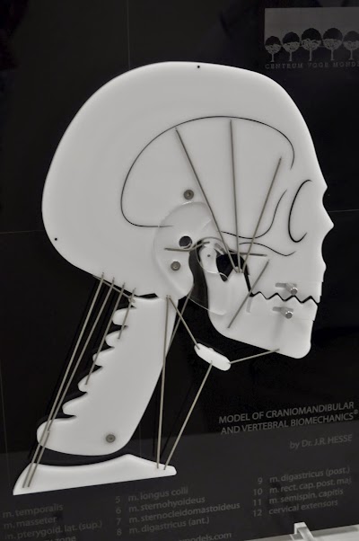Photos of De Necker Dentistry Cape Town