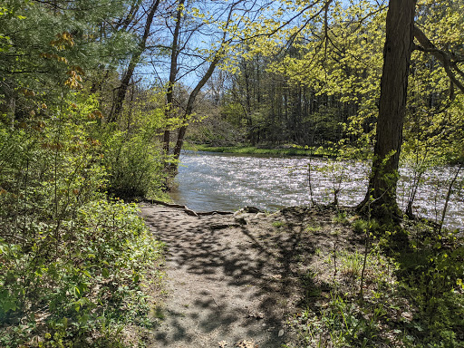 Monkey Run, Cayuga Trail - Thumbnail