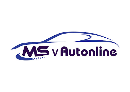 Messina Servizi v Autonline Logo