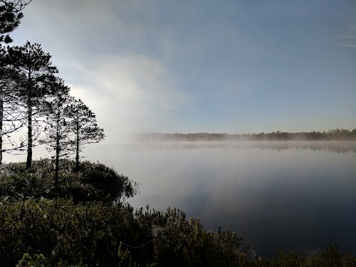 Suur Suurjärv